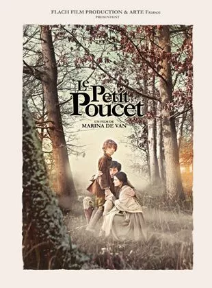 Affiche du film Le petit poucet