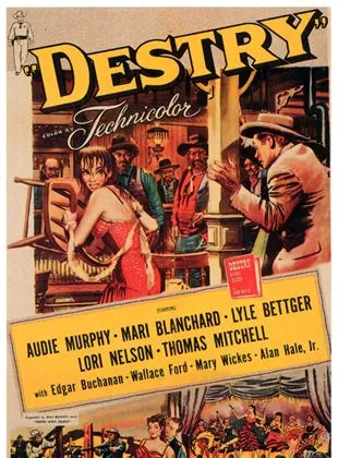 Affiche du film Le nettoyeur