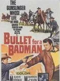 Affiche du film La Patrouille de la violence