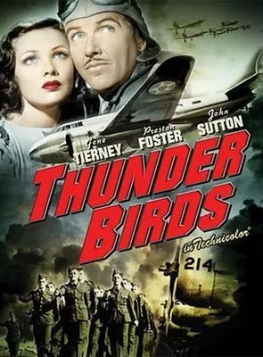 Affiche du film Pilotes de chasse