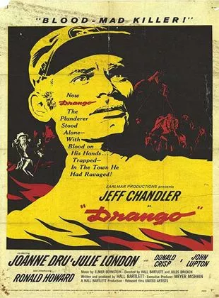 Affiche du film Le Pays de la haine