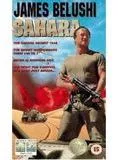Affiche du film Sahara