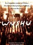 Affiche du film Wushu