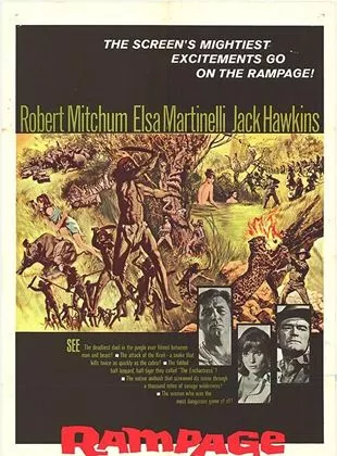 Affiche du film Massacre pour un fauve