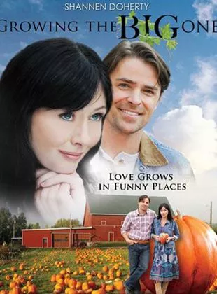 Affiche du film La digne héritière