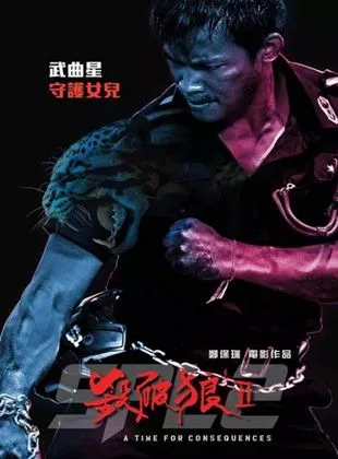 Affiche du film Kill Zone 2