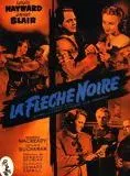 Affiche du film La Flèche noire