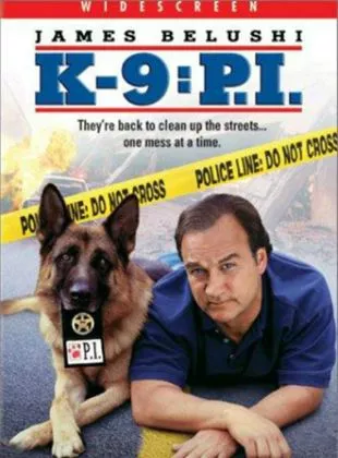 Affiche du film Chien de flic 3