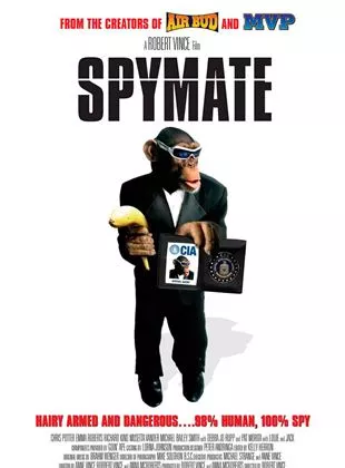 Affiche du film Spymate