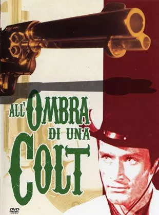 Affiche du film Un mercenaire reste à tuer