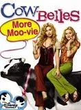 Affiche du film Les Soeurs Callum