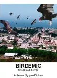 Affiche du film Birdemic: Shock and Terror