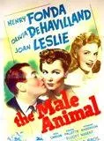 Affiche du film The Male Animal