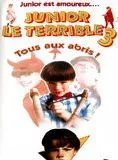 Affiche du film Junior le terrible 3