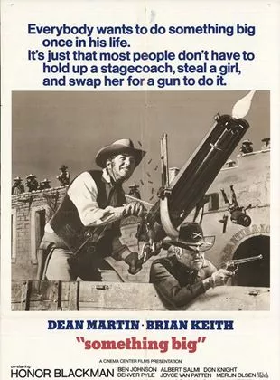 Affiche du film Rio verde