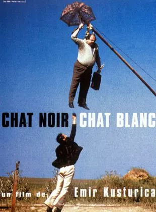 Affiche du film Chat noir, chat blanc