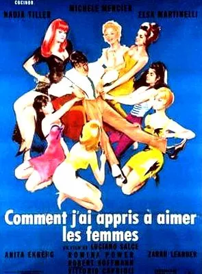 Affiche du film Comment j'ai appris à aimer les femmes