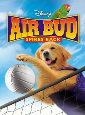Affiche du film Airbud 5 : superstar