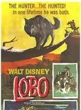 Affiche du film La Légende de Lobo
