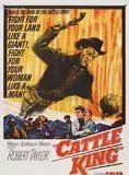 Affiche du film Les Ranchers du Wyoming