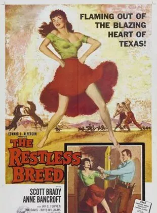 Affiche du film La Ville de la vengeance
