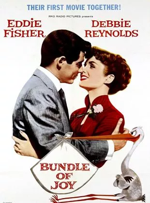 Affiche du film Bundle of Joy