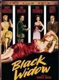 Affiche du film La veuve noire