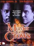 Affiche du film Murder of Crows