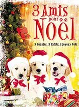 Affiche du film 3 Amis pour Noël