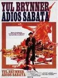 Affiche du film Adios Sabata