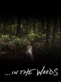 Affiche du film In the Woods