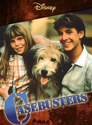 Affiche du film Casebusters