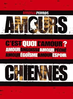 Affiche du film Amours chiennes