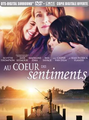 Affiche du film Au coeur des sentiments