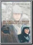 Affiche du film Un Temps pour l'ivresse des chevaux