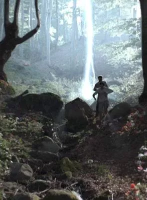 Affiche du film Les Secrets de la forêt noire (TV)
