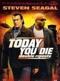 Affiche du film Double riposte