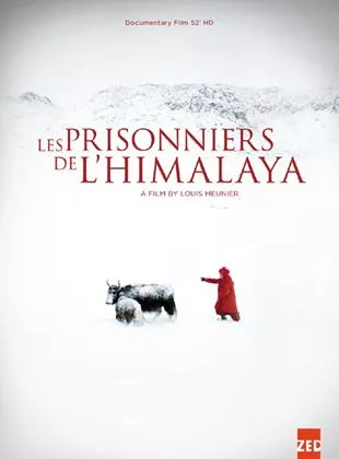 Affiche du film Prisonniers de l'Himalaya