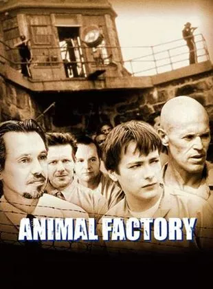Affiche du film Animal Factory