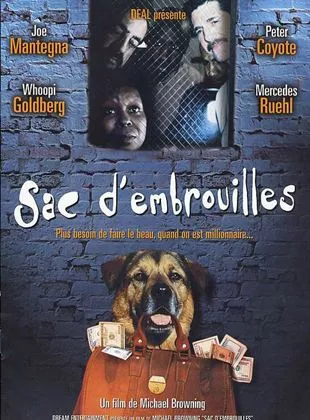 Affiche du film Sac d'embrouilles