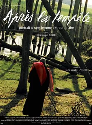 Affiche du film Après la tempête (Dominique Aubier, portrait d'une femme extraordinaire)