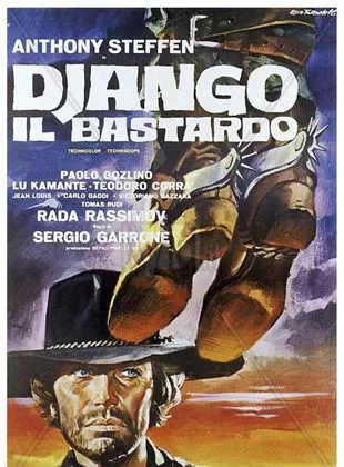 Affiche du film Django le bâtard