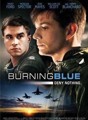 Affiche du film Se brûler les ailes