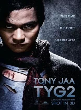 Affiche du film The Protector 2