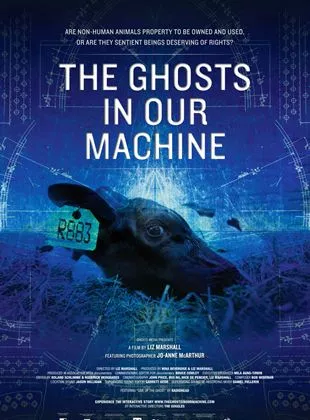 Affiche du film The Ghosts in our Machine