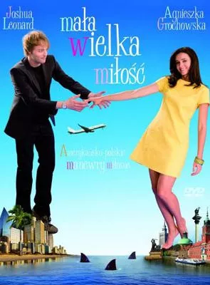 Affiche du film Les Surprises de l'amour