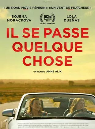 Affiche du film Il se passe quelque chose