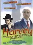 Affiche du film À chacun son fantôme
