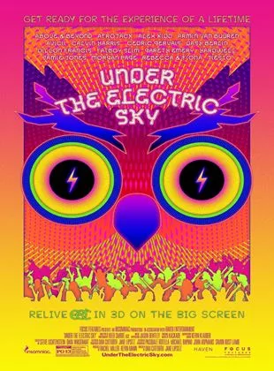 Affiche du film EDC 2013: Under the Electric Sky