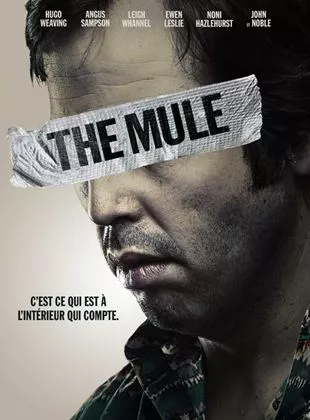 Affiche du film The Mule